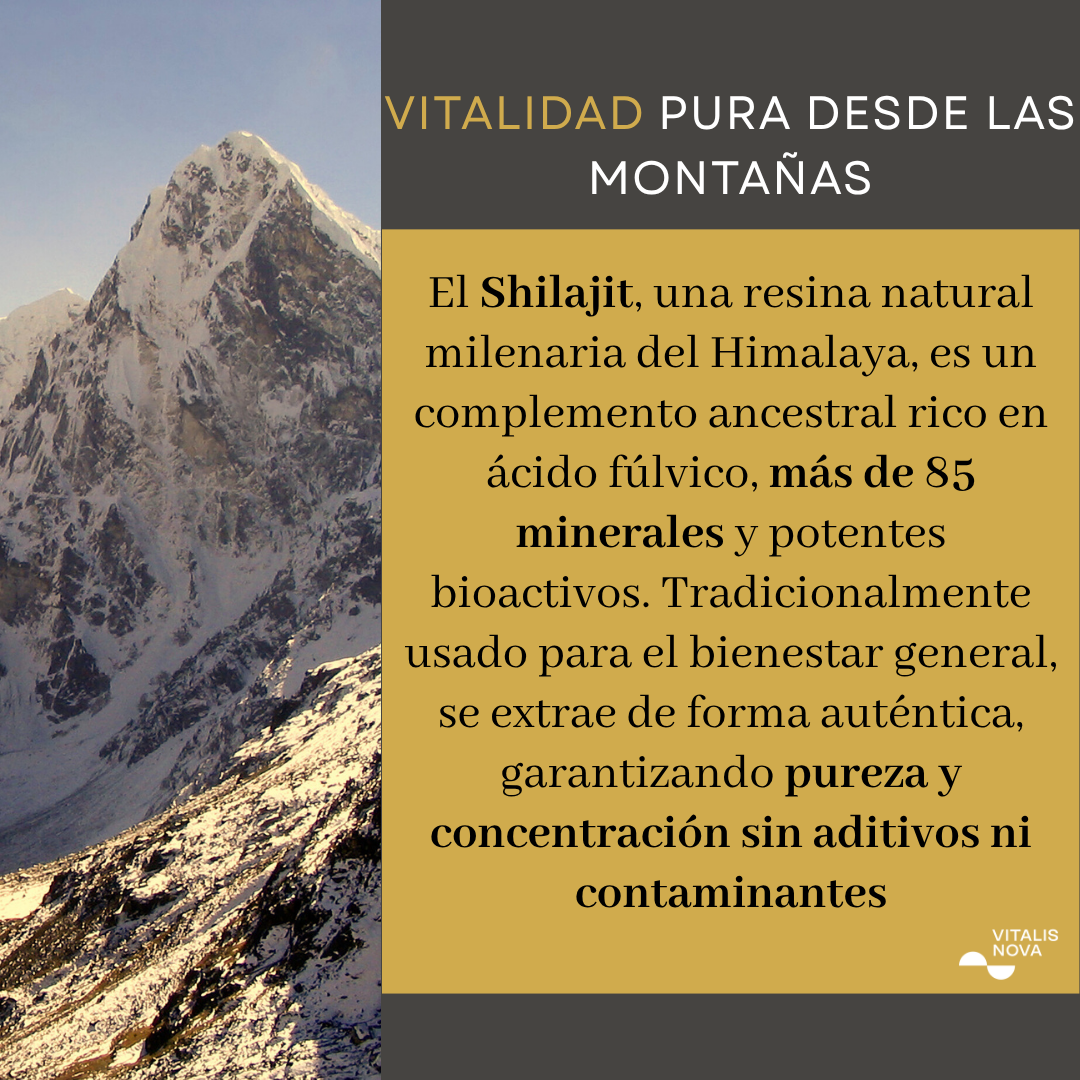 Shilajit Resina 30 gr - Máxima Pureza del Himalaya