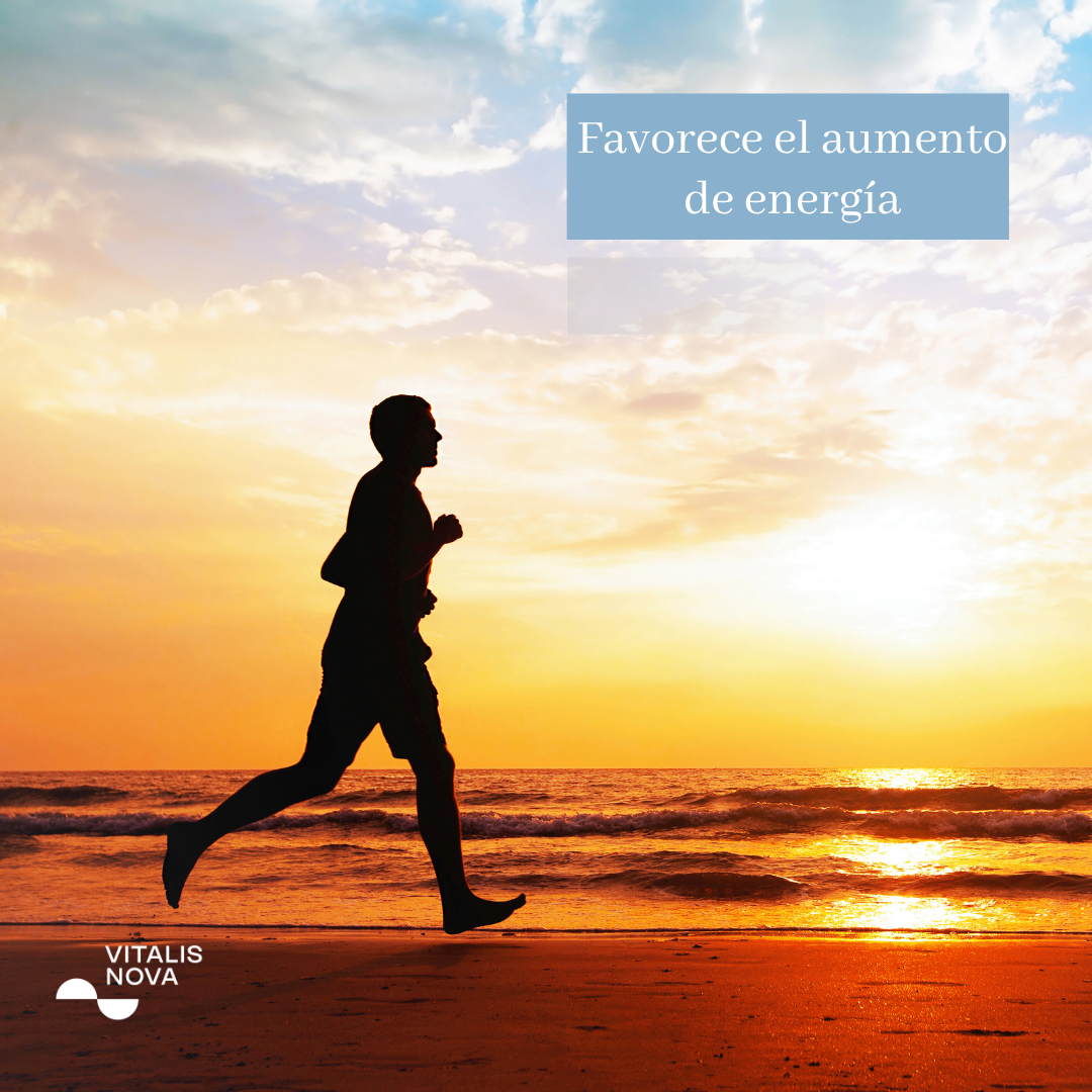 NAD+ Energía y Envejecimiento Saludable | con Trans-Resveratrol y Quercetina | 90 Cápsulas