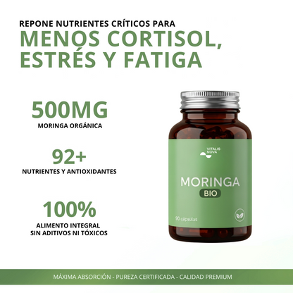 Moringa Pura BIO
