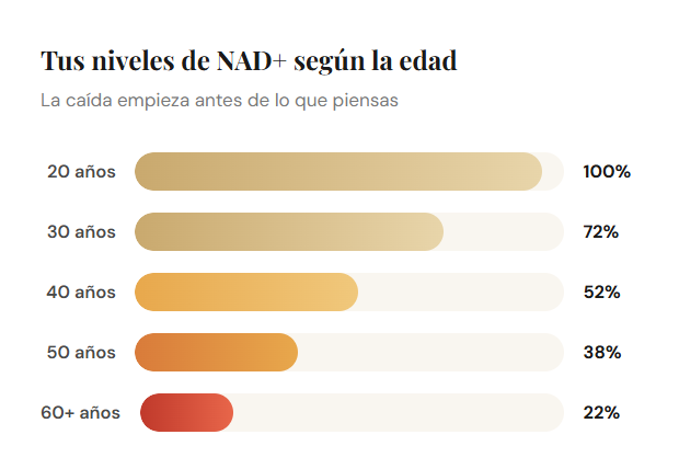 Tus niveles de NAD+ caen