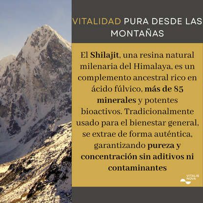 Shilajit Resina 30 gr - Máxima Pureza del Himalaya