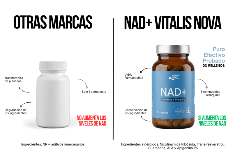 Función Mitocondrial con la Edad