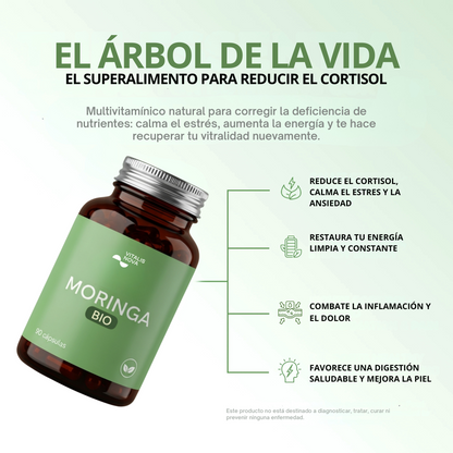 Moringa Pura BIO
