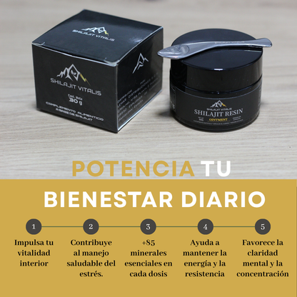 Shilajit Resina 30 gr - Máxima Pureza del Himalaya