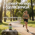 Moringa Superalimento BIO - 4