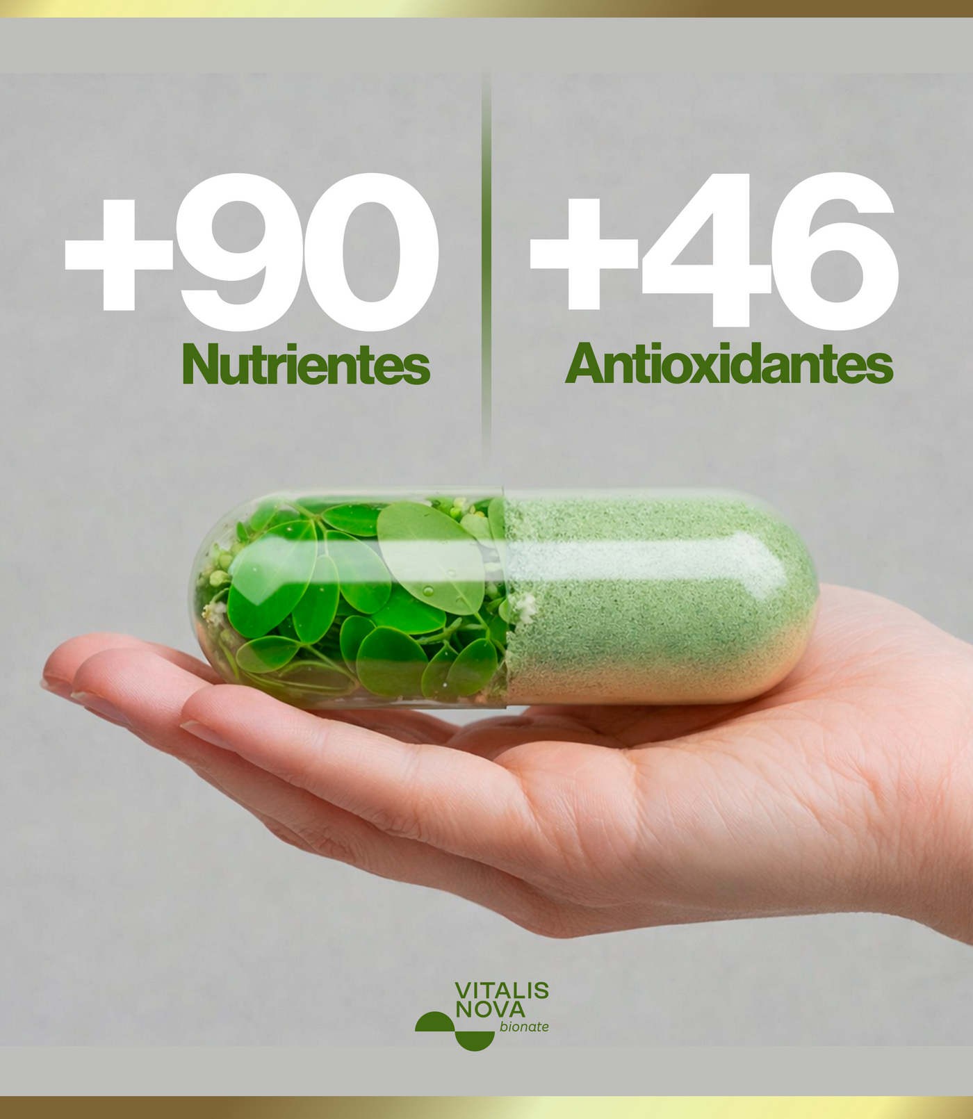 Moringa Oleifera Vitalis Nova