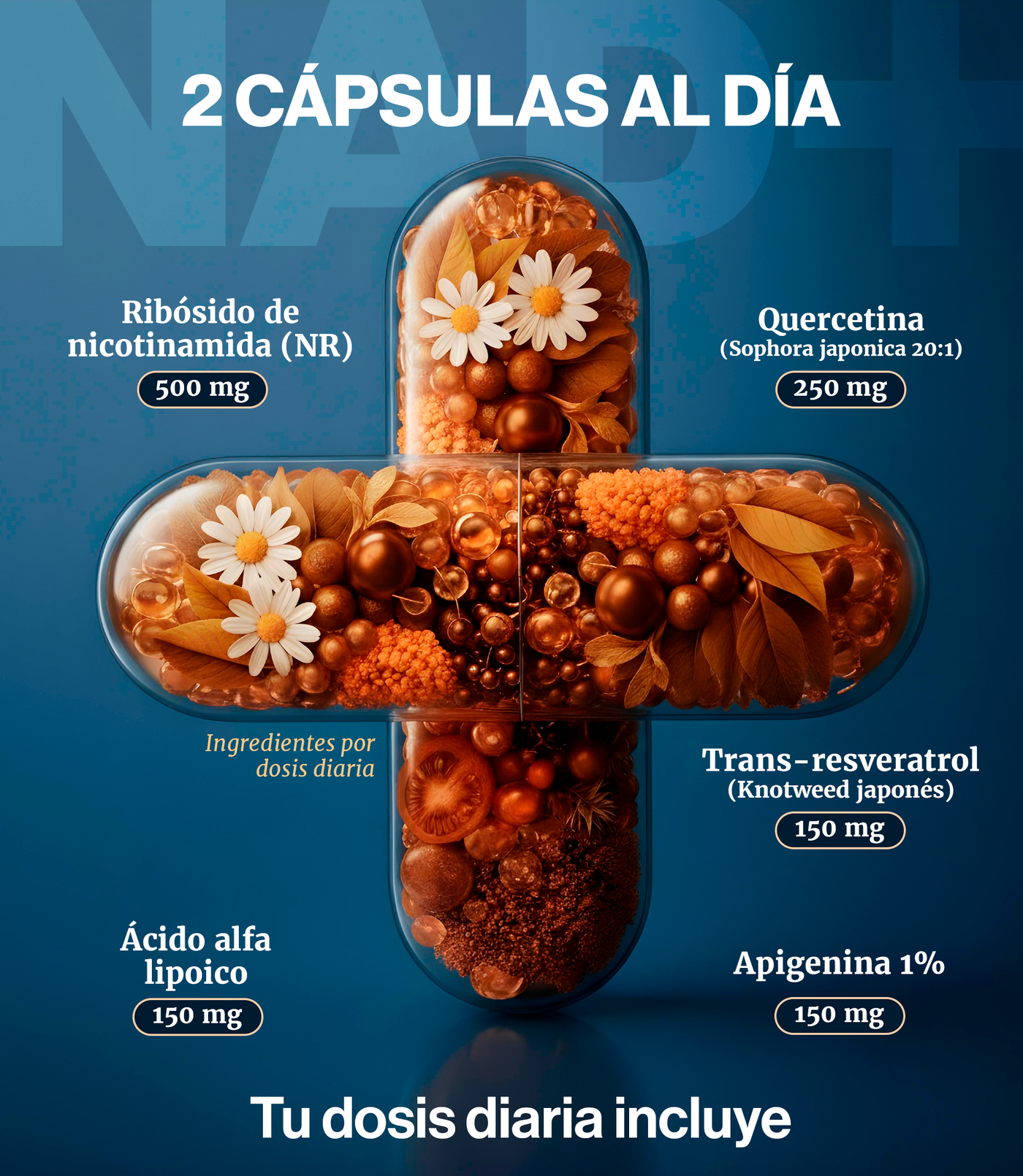 NAD+ Vitalis Nova